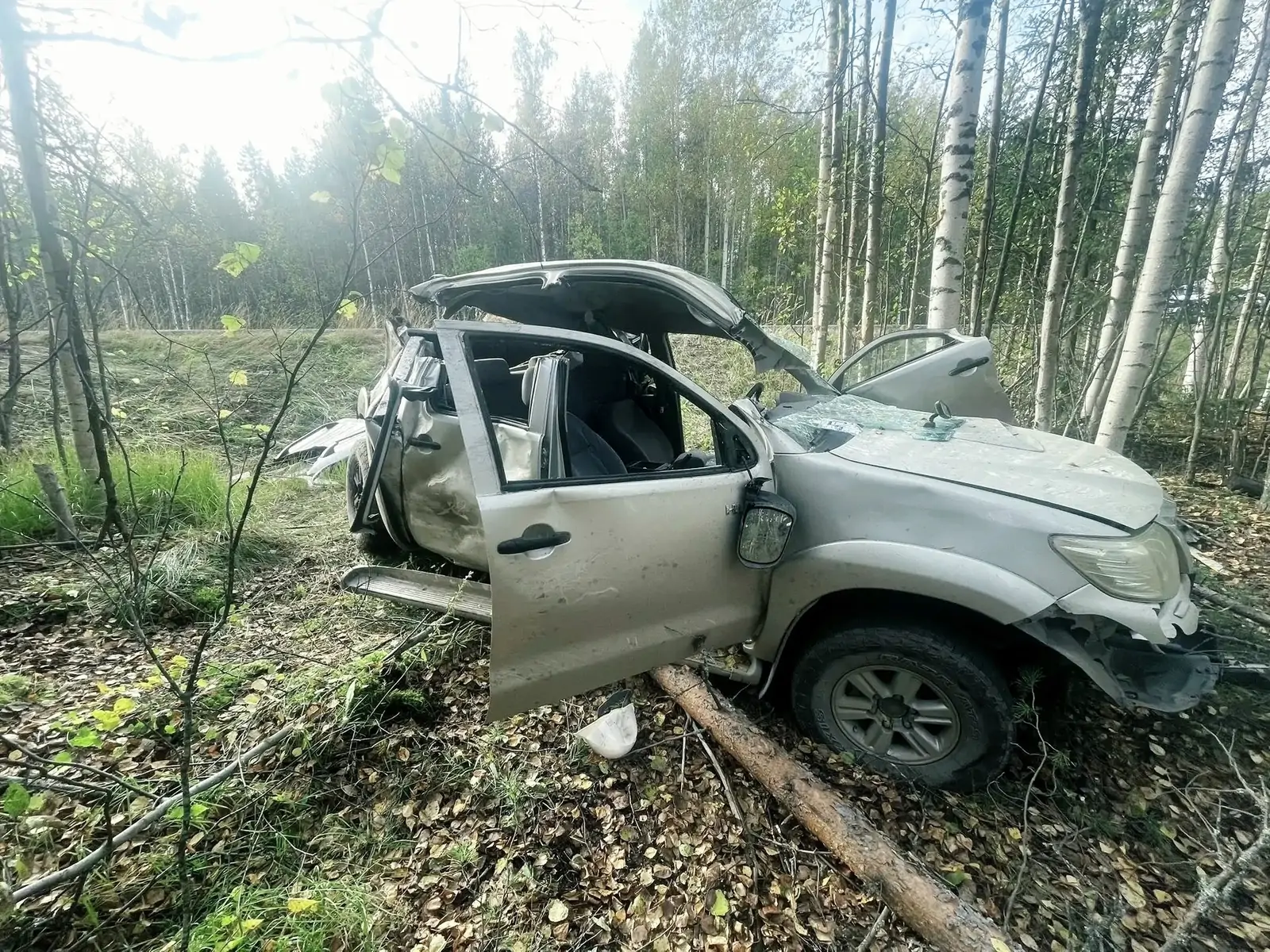 Житель Карелии погиб в стоящем на обочине пикапе