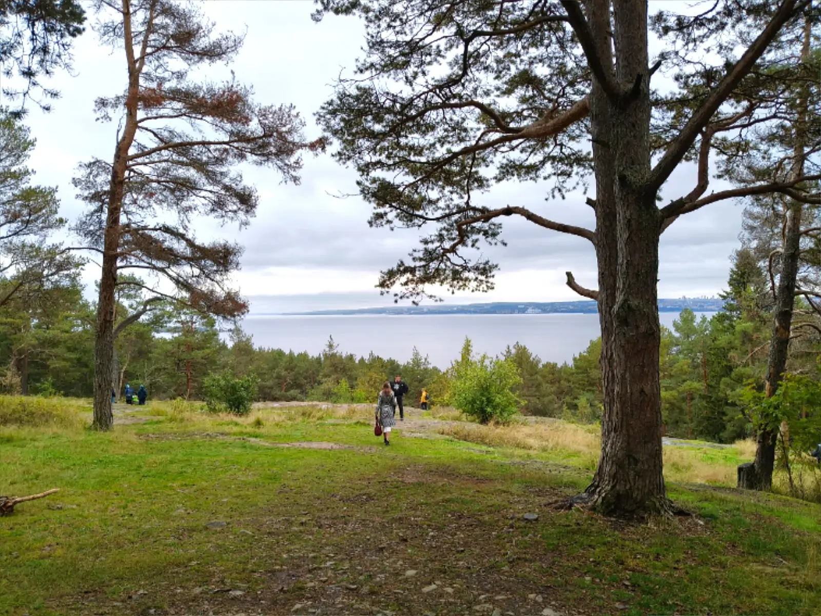Ботанический сад ПетрГУ
