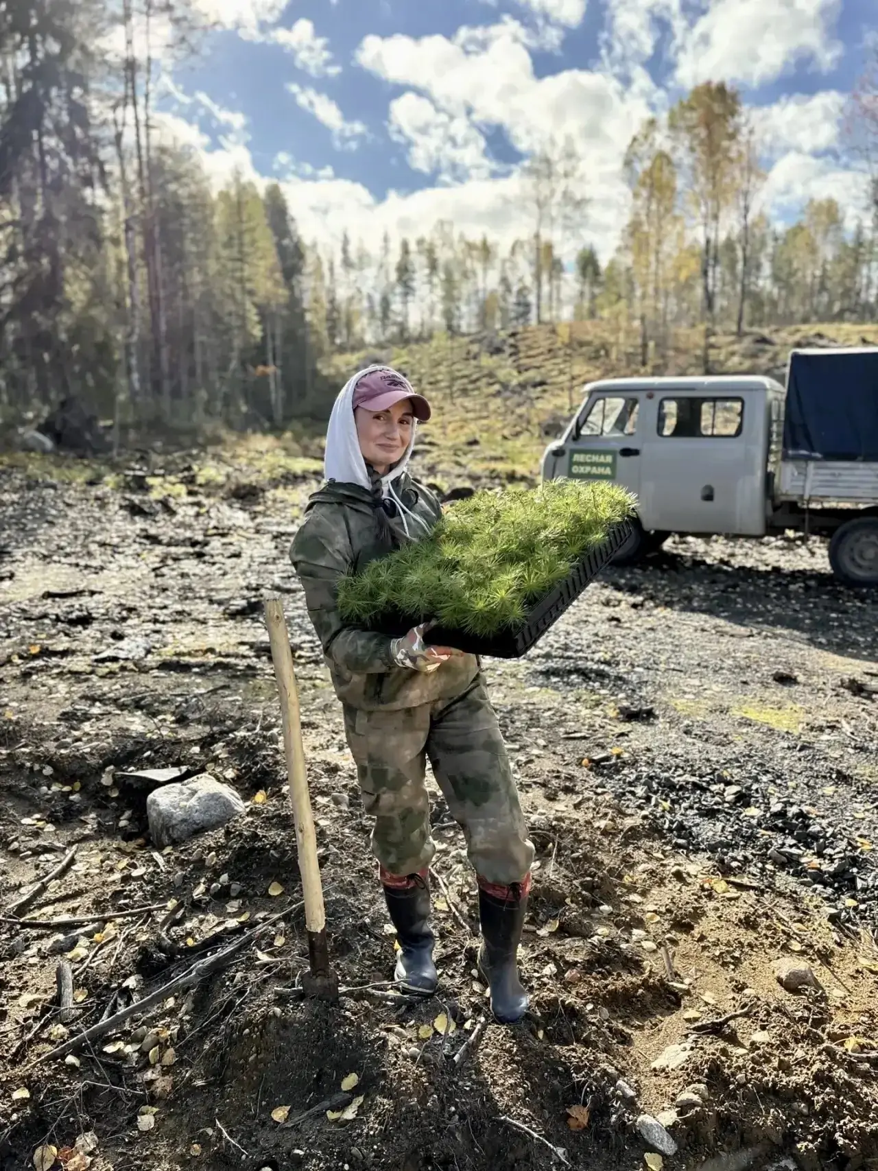 Школьники высадили хвойные сеянцы возле деревни Корбисельга в Карелии