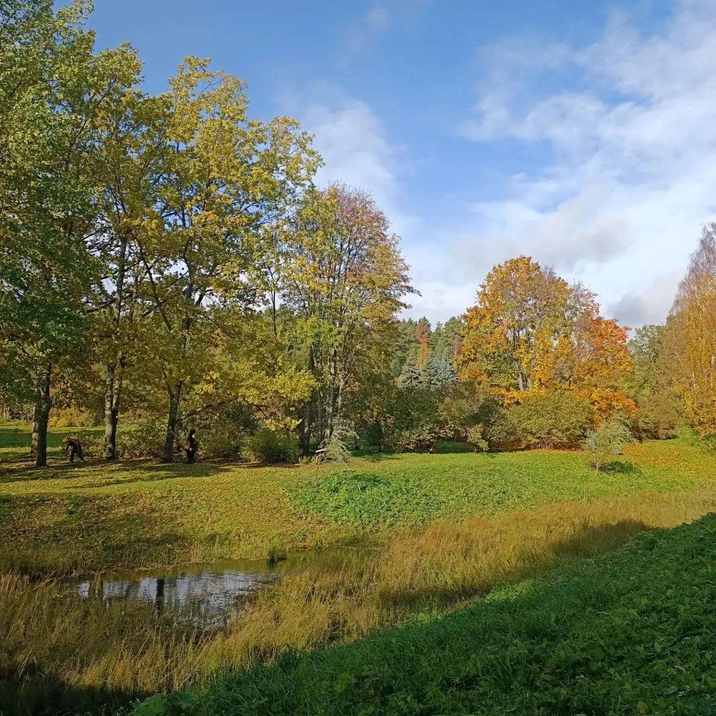Ботанический сад ПетрГУ отметит 75-летие праздником «Золотая осень» (0+)