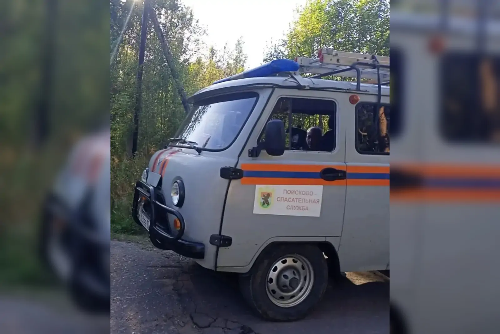 В Карелии нашли женщину, четыре дня блуждавшую в лесу