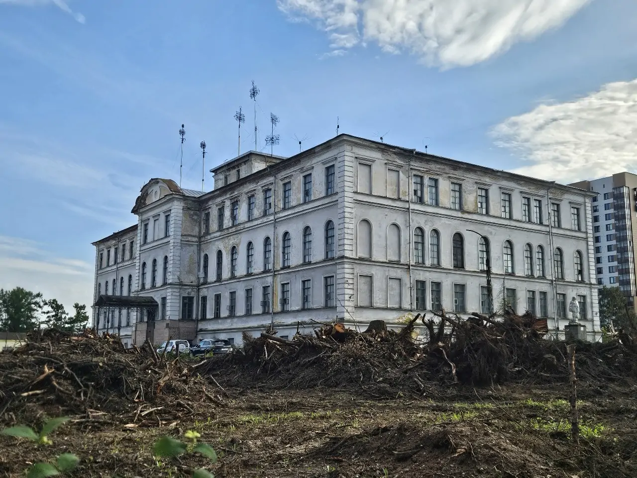 Парк из вековых лиственниц вырубили в центре Петрозаводска
