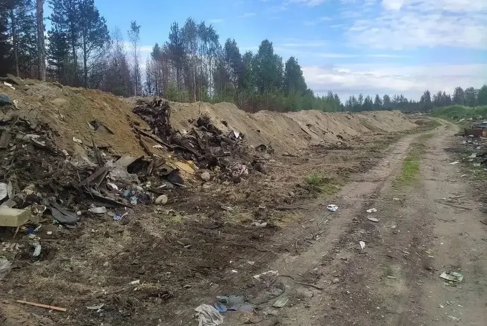 свалка