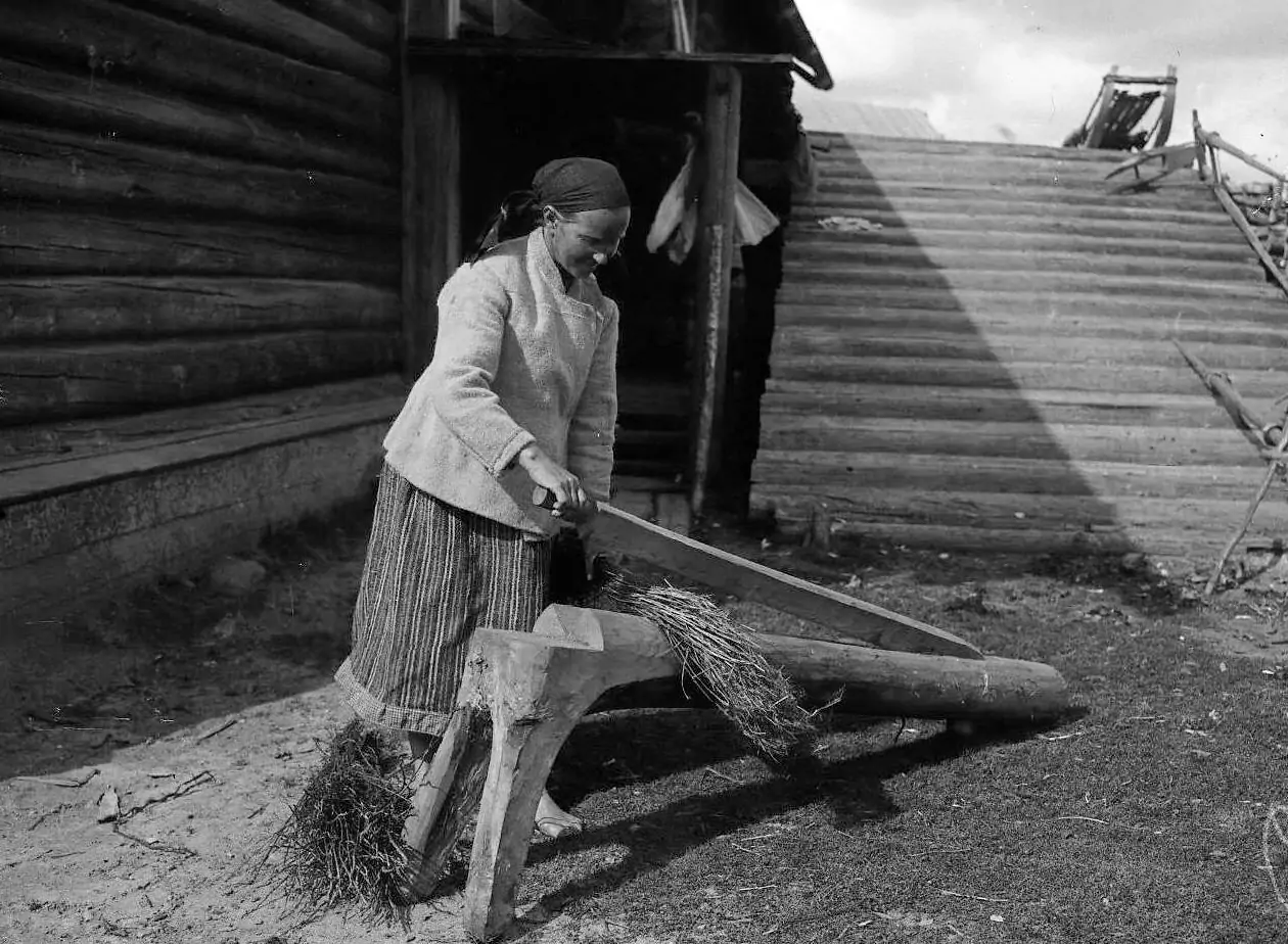 Краеведы рассказали о роли льна в истории Карелии