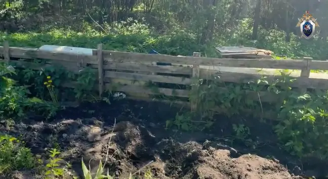 Мужчину жестоко убили и закопали во дворе на западе Карелии