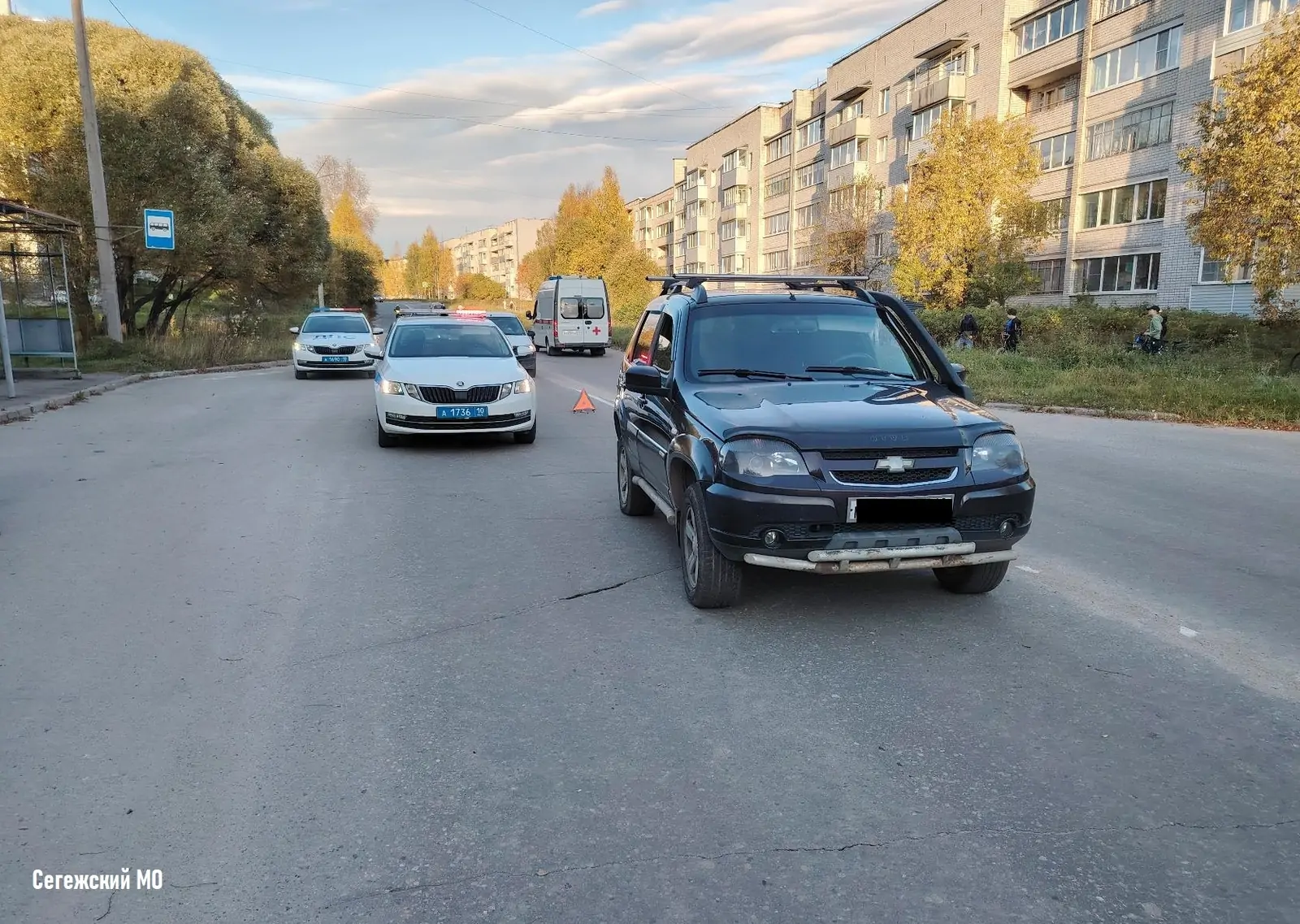 Перебегавшего дорогу школьника сбили в Карелии