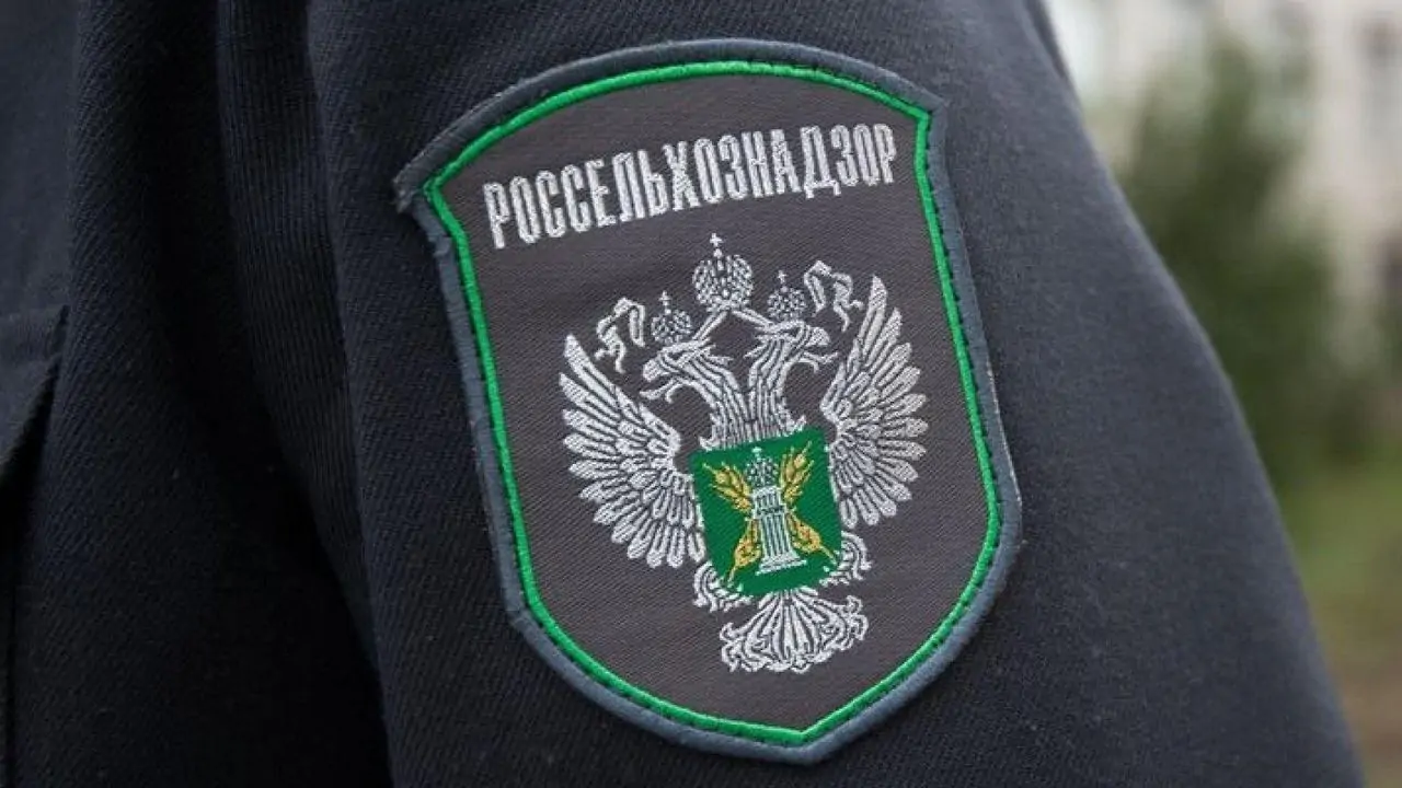 Нейросеть нашла в Карелии 51 тысячу нарушений в ветеринарных документах