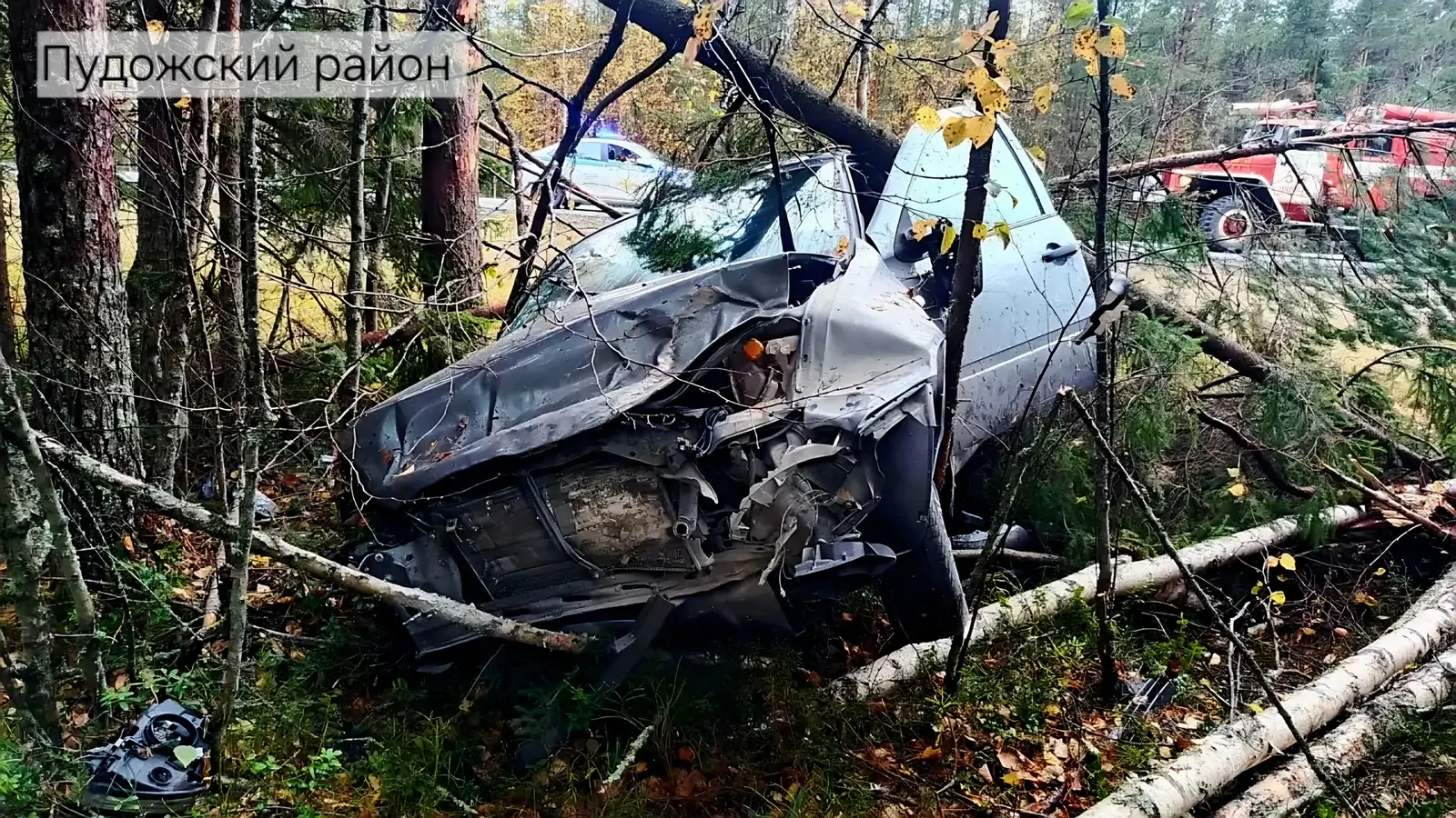 Стали известны подробности жесткой аварии на востоке Карелии