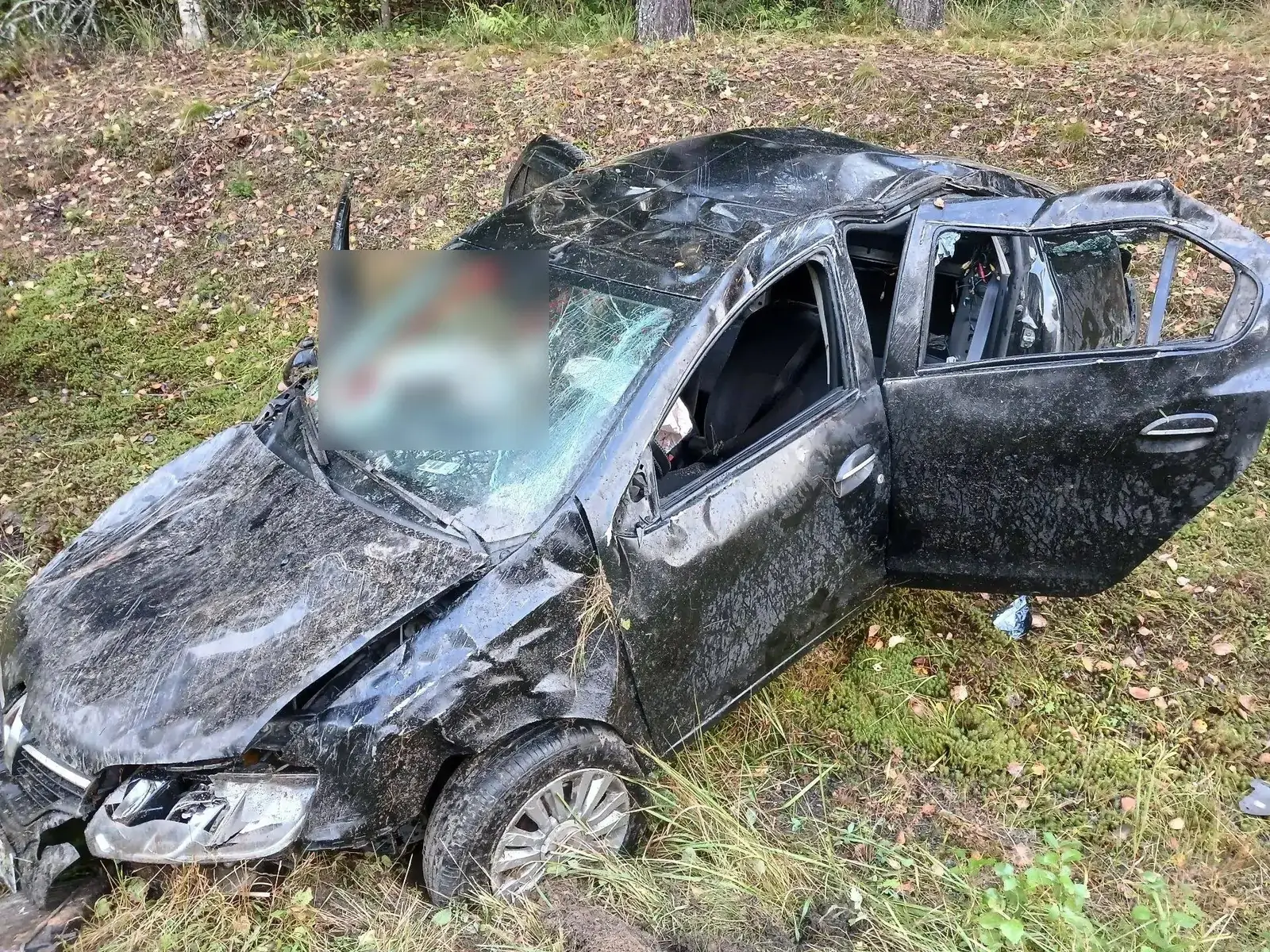 Renault перевернулся в кювет на трассе в Карелии