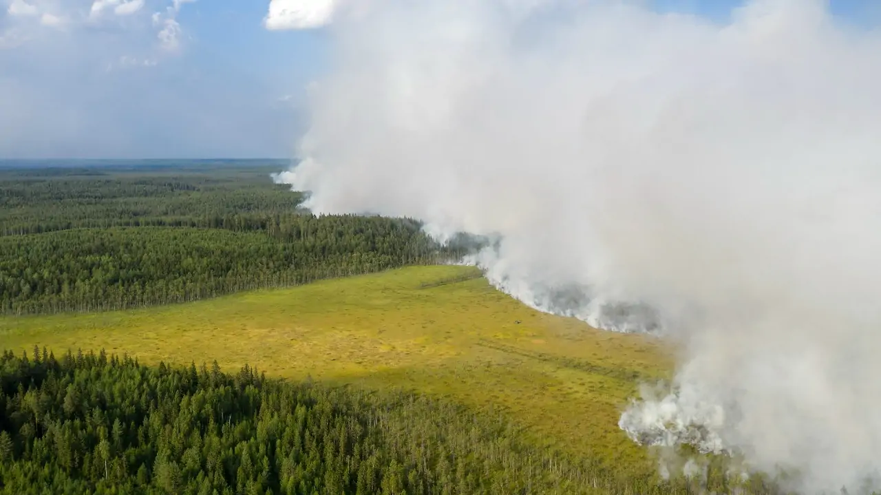 Особый противопожарный режим отменили в Карелии