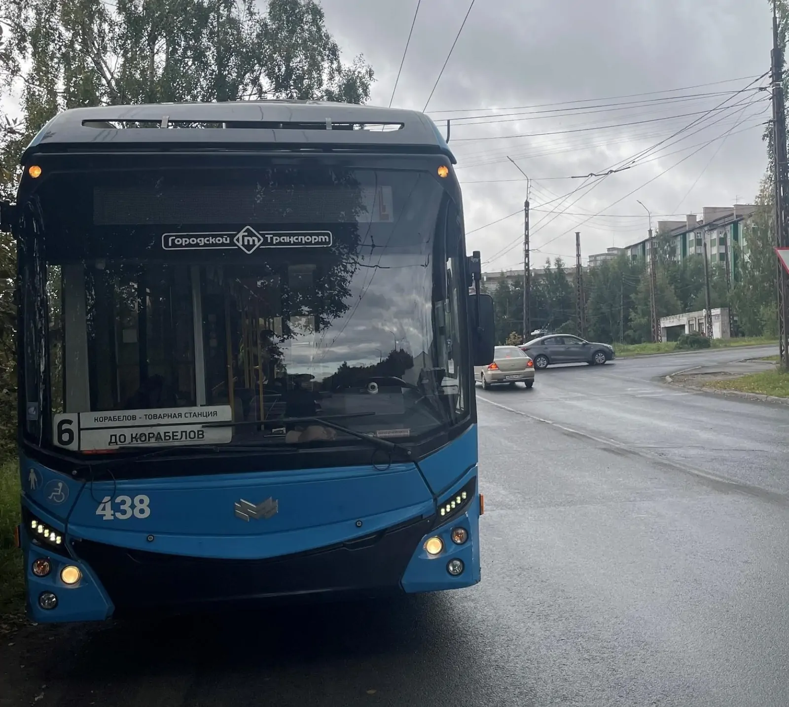 Пожилая жительница Петрозаводска пострадала от неожиданного маневра троллейбуса