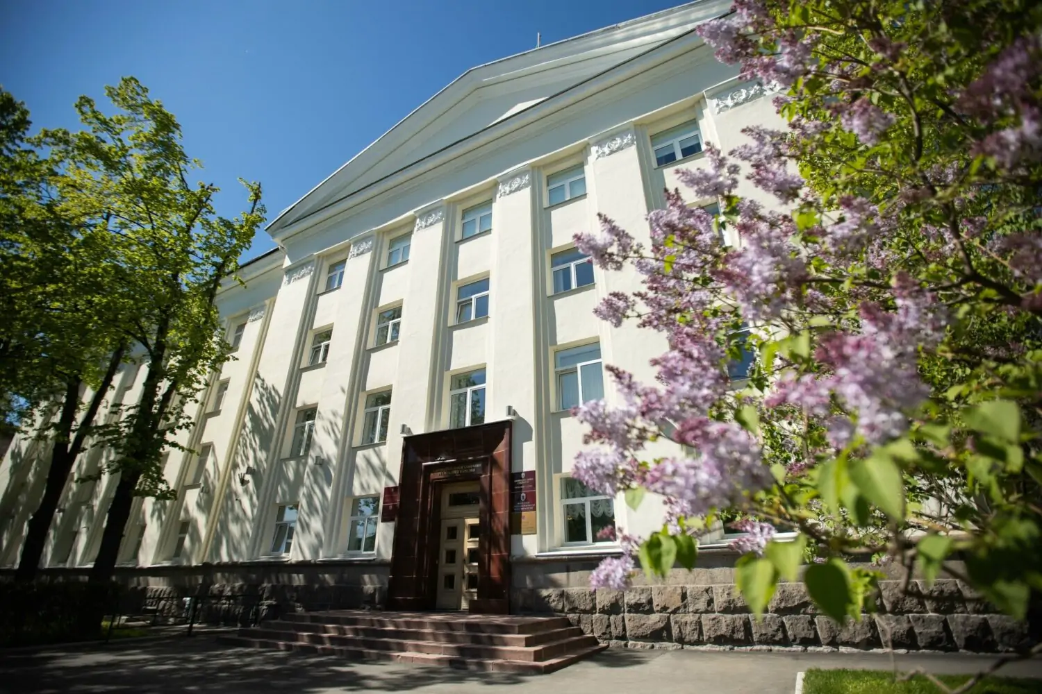 Опубликованы итоги голосования по одномандатным округам в Карелии