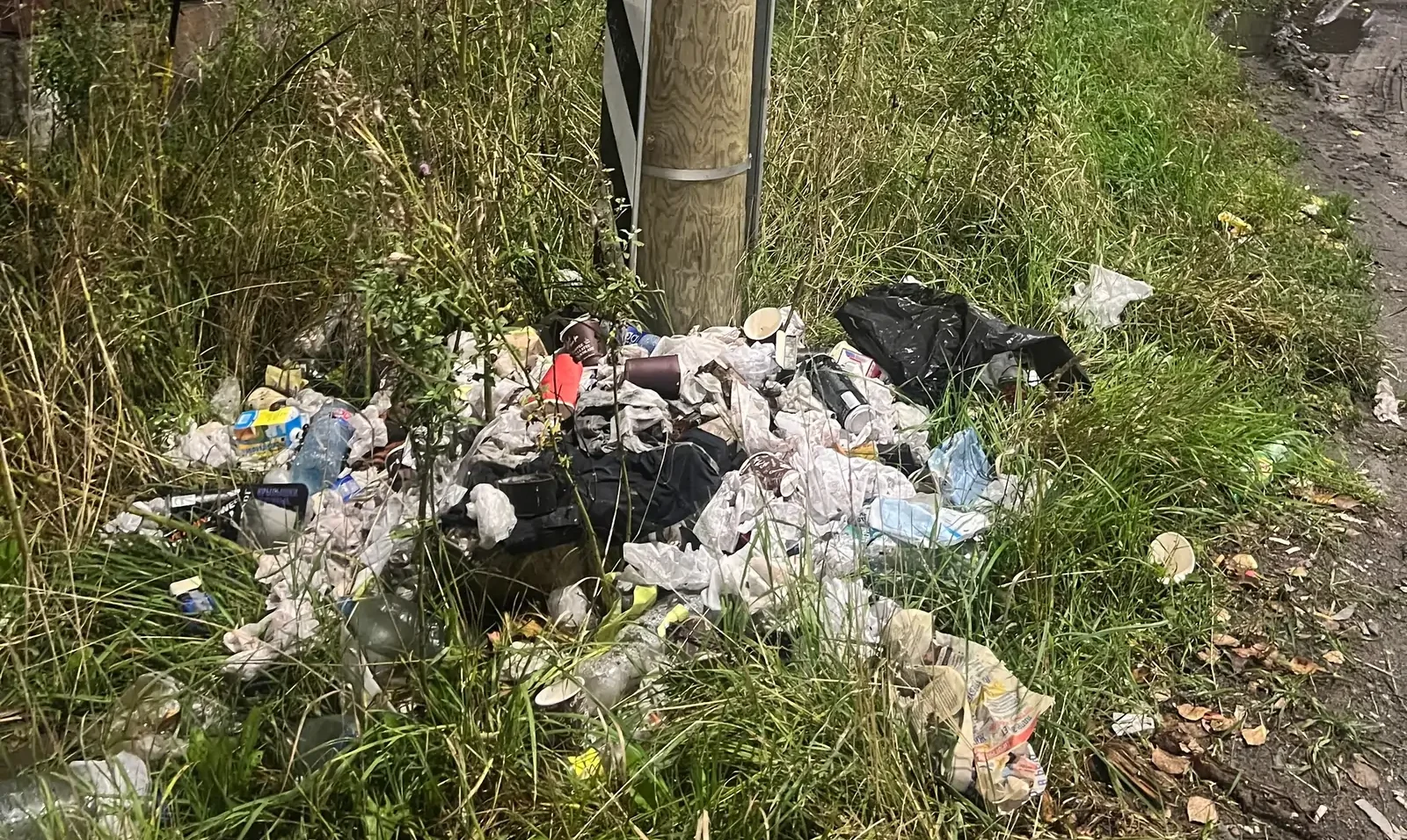 Жители Соломенного обнаружили незаконную свалку мусора у остановки