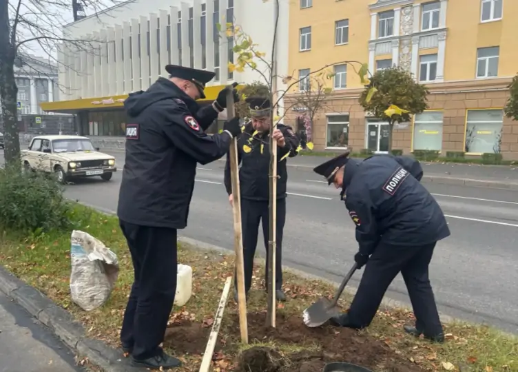 Высадка деревьев и кустарников в Петрозаводске