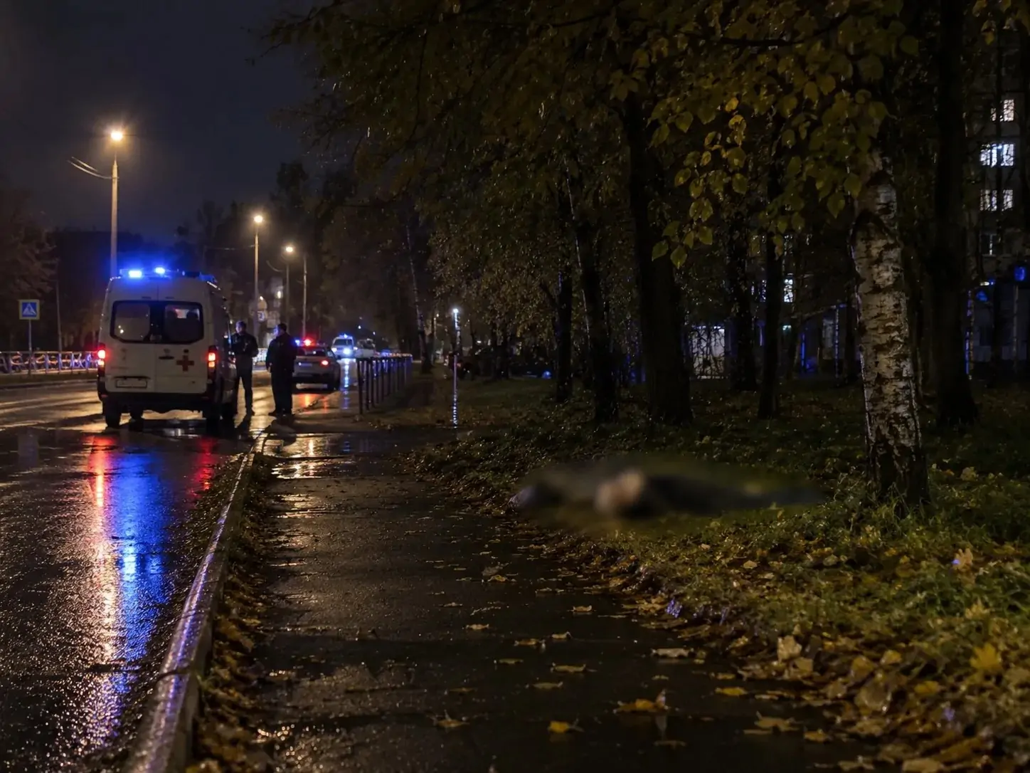Мужчину в Петрозаводске насмерть сбили на пешеходном переходе