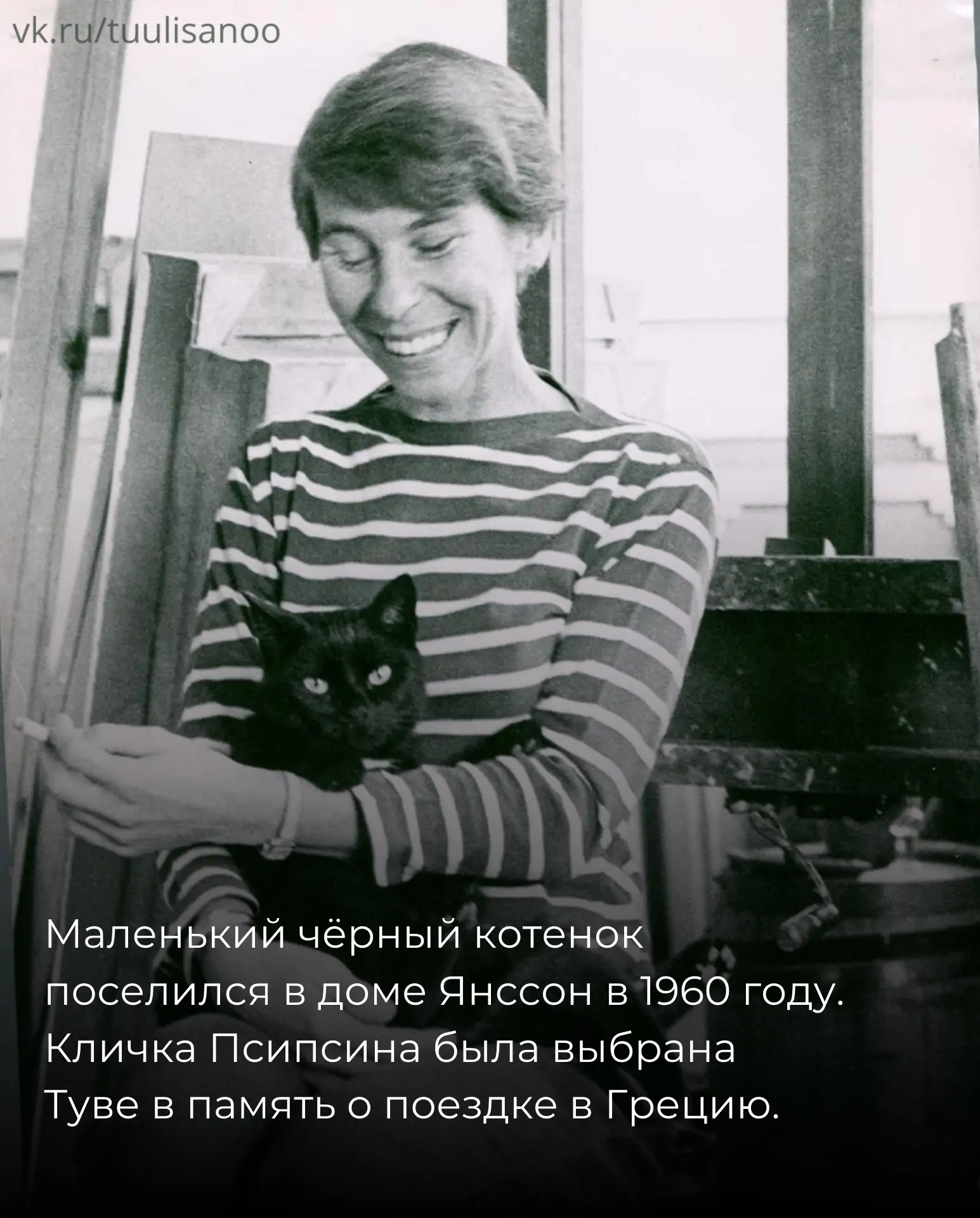 Историю кошки писательницы Туве Янссон рассказали в паблике о Финляндии