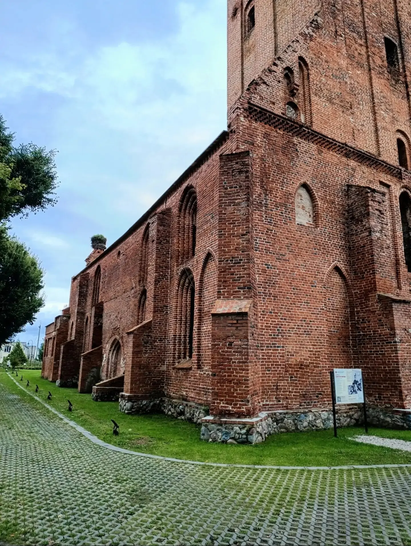 Исторический сад роз создали у древней кирхи на Северо-Западе