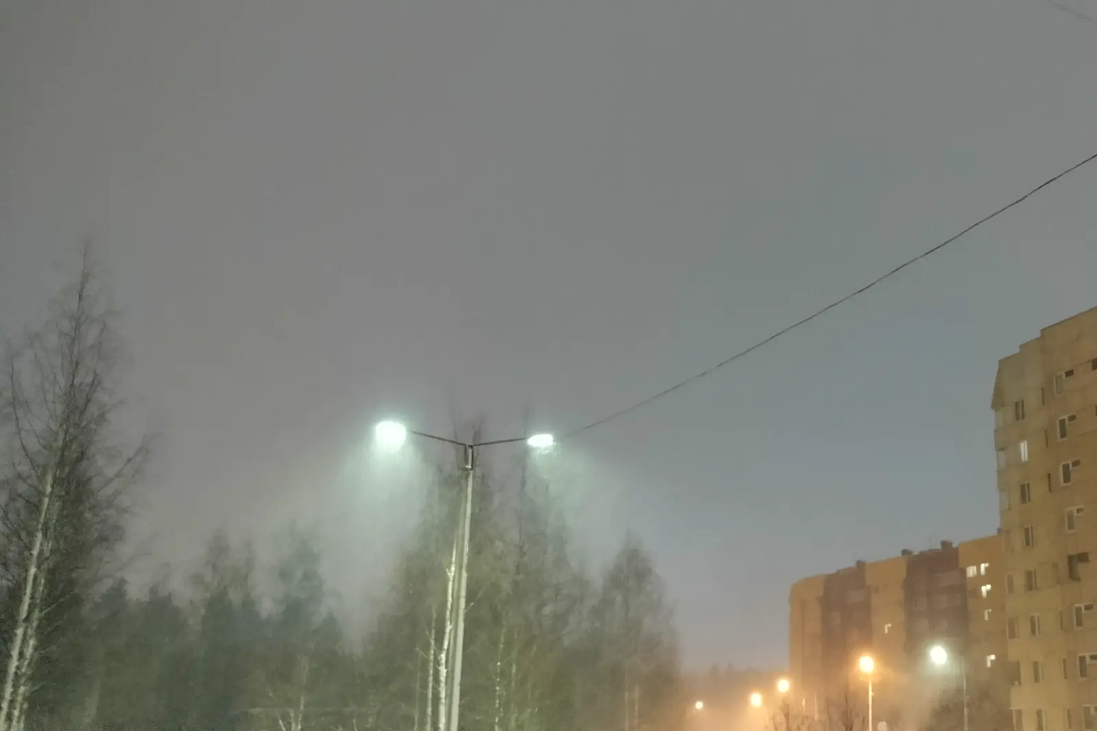 Мокрый снег ожидается в воскресенье в Карелии