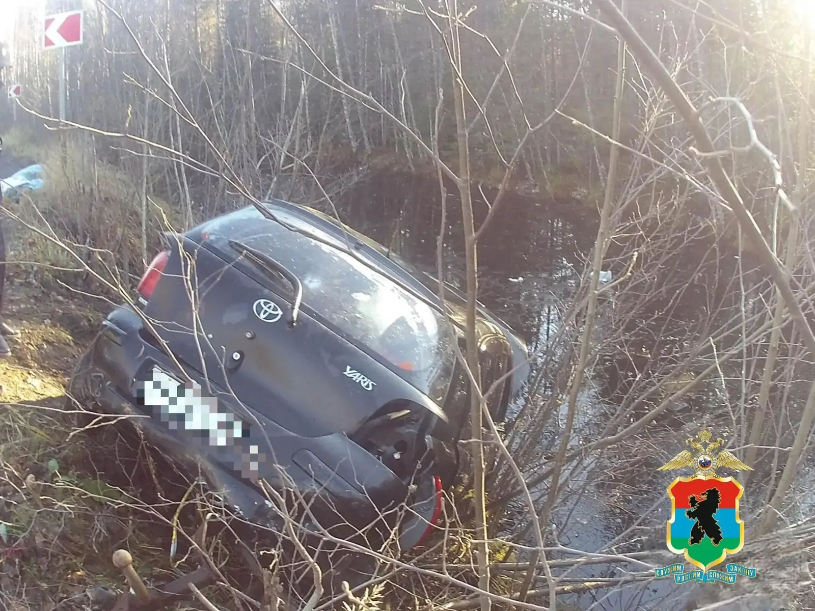 Уголовное дело возбудили в Карелии после смертельного ДТП