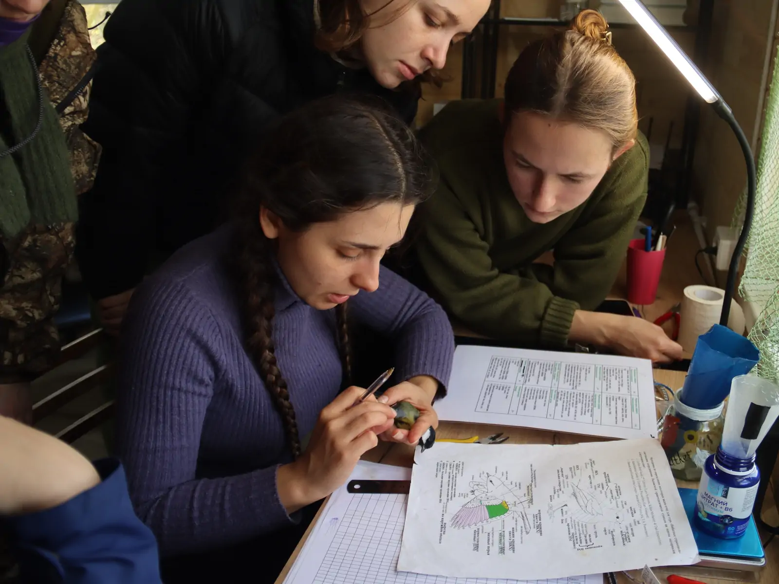 Исследователи птиц в заповеднике