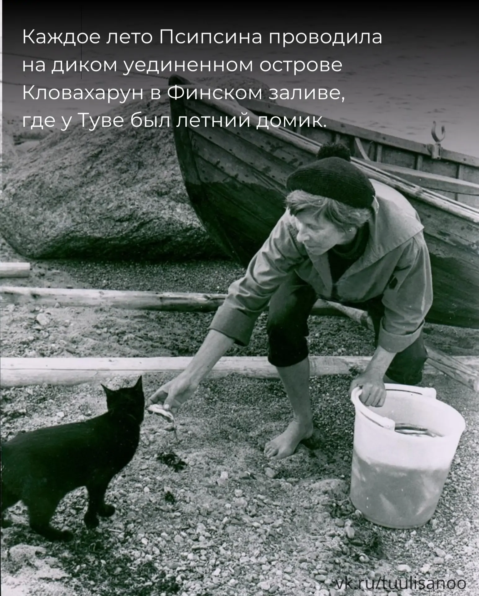 Историю кошки писательницы Туве Янссон рассказали в паблике о Финляндии