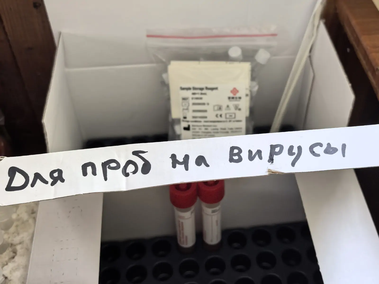 Карельские ученые изучают миграцию птиц для оценки рисков распространения инфекций