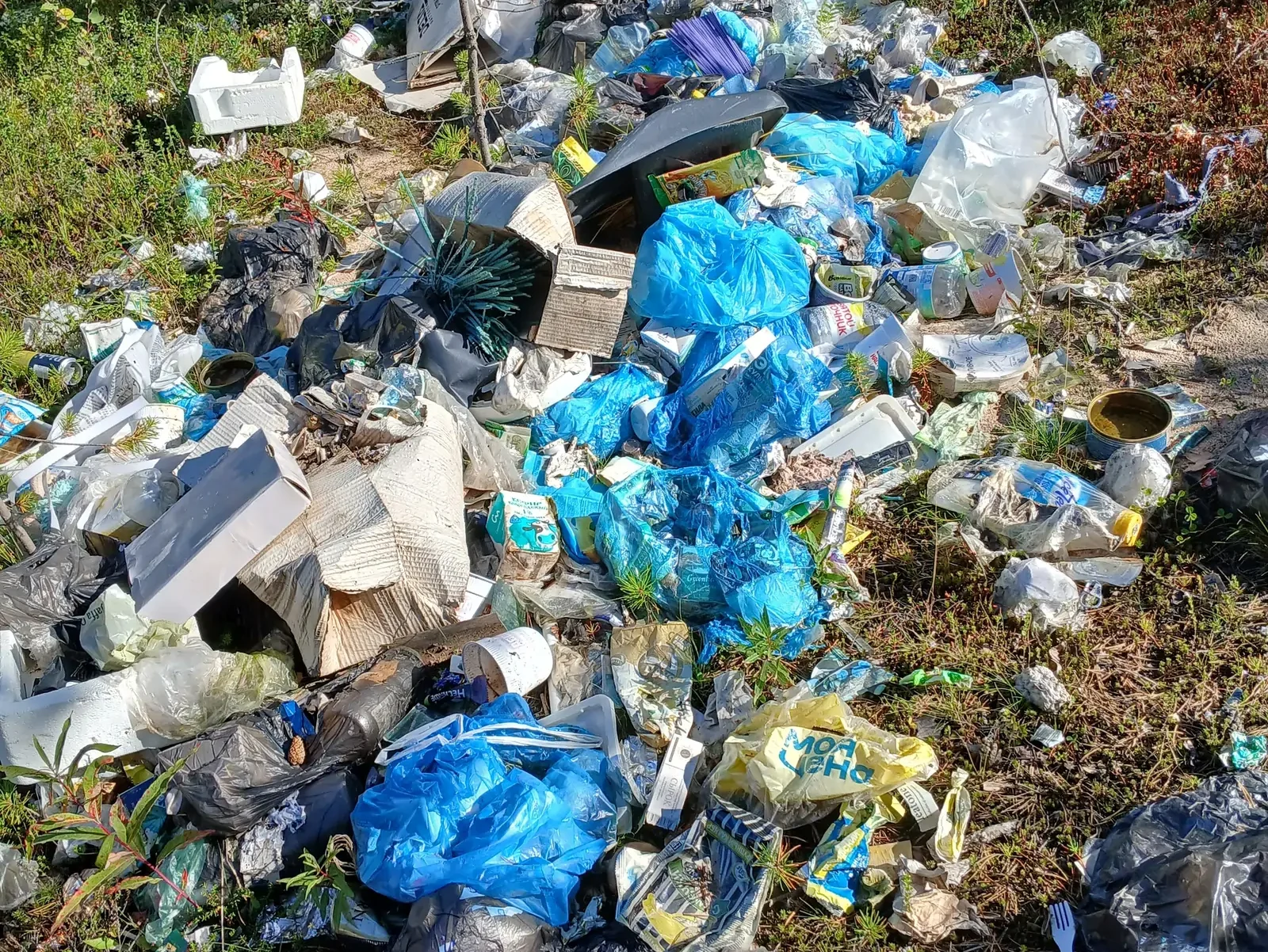 Возле станции в карельском лесу оставили 150 кубометров мусора