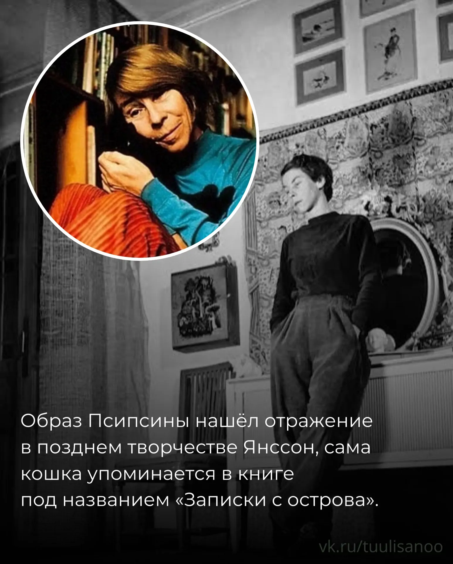 Историю кошки писательницы Туве Янссон рассказали в паблике о Финляндии