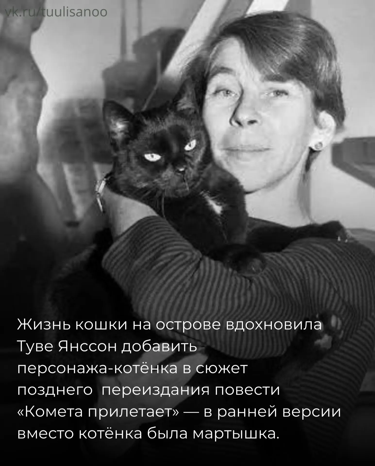 Историю кошки писательницы Туве Янссон рассказали в паблике о Финляндии