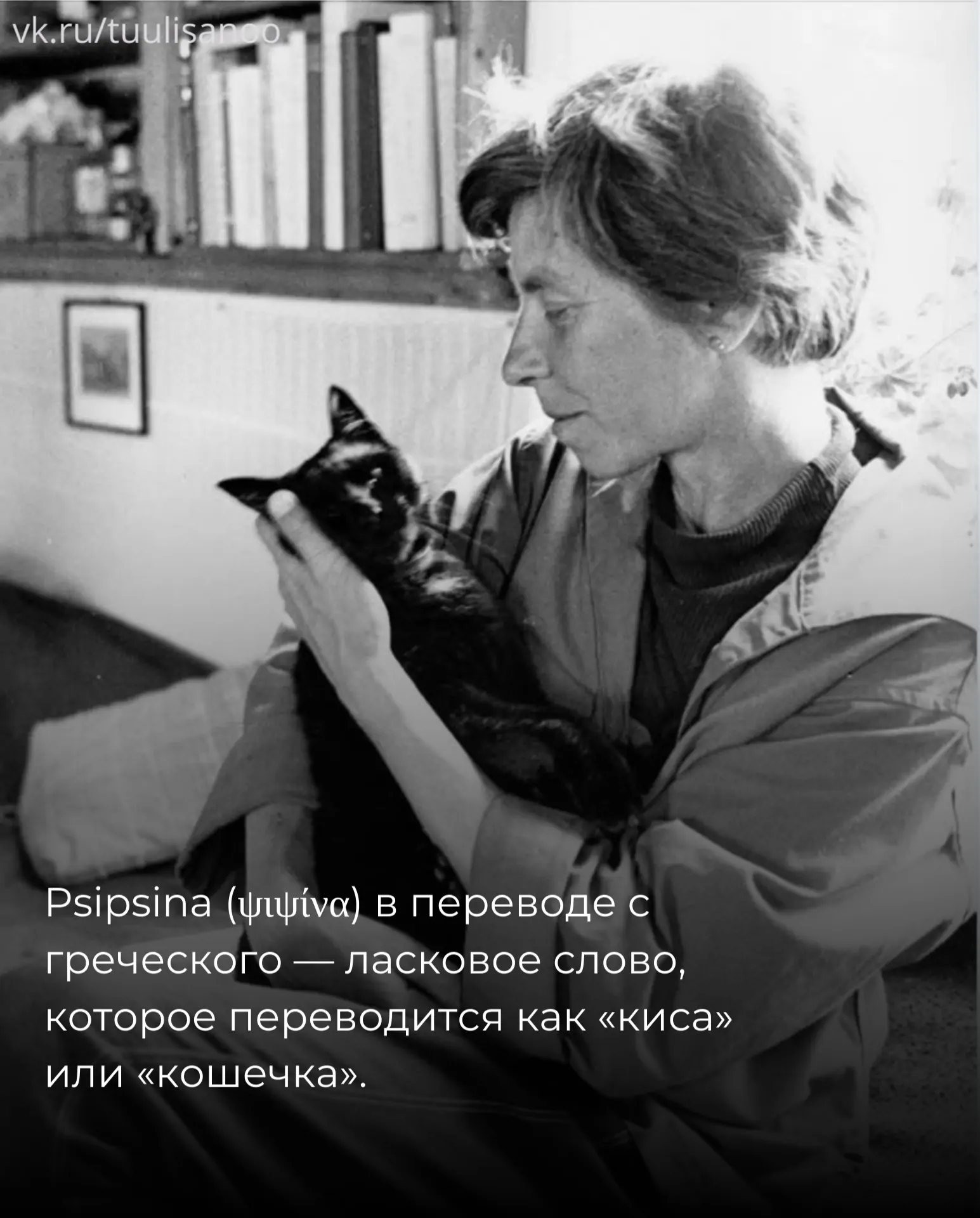 Историю кошки писательницы Туве Янссон рассказали в паблике о Финляндии