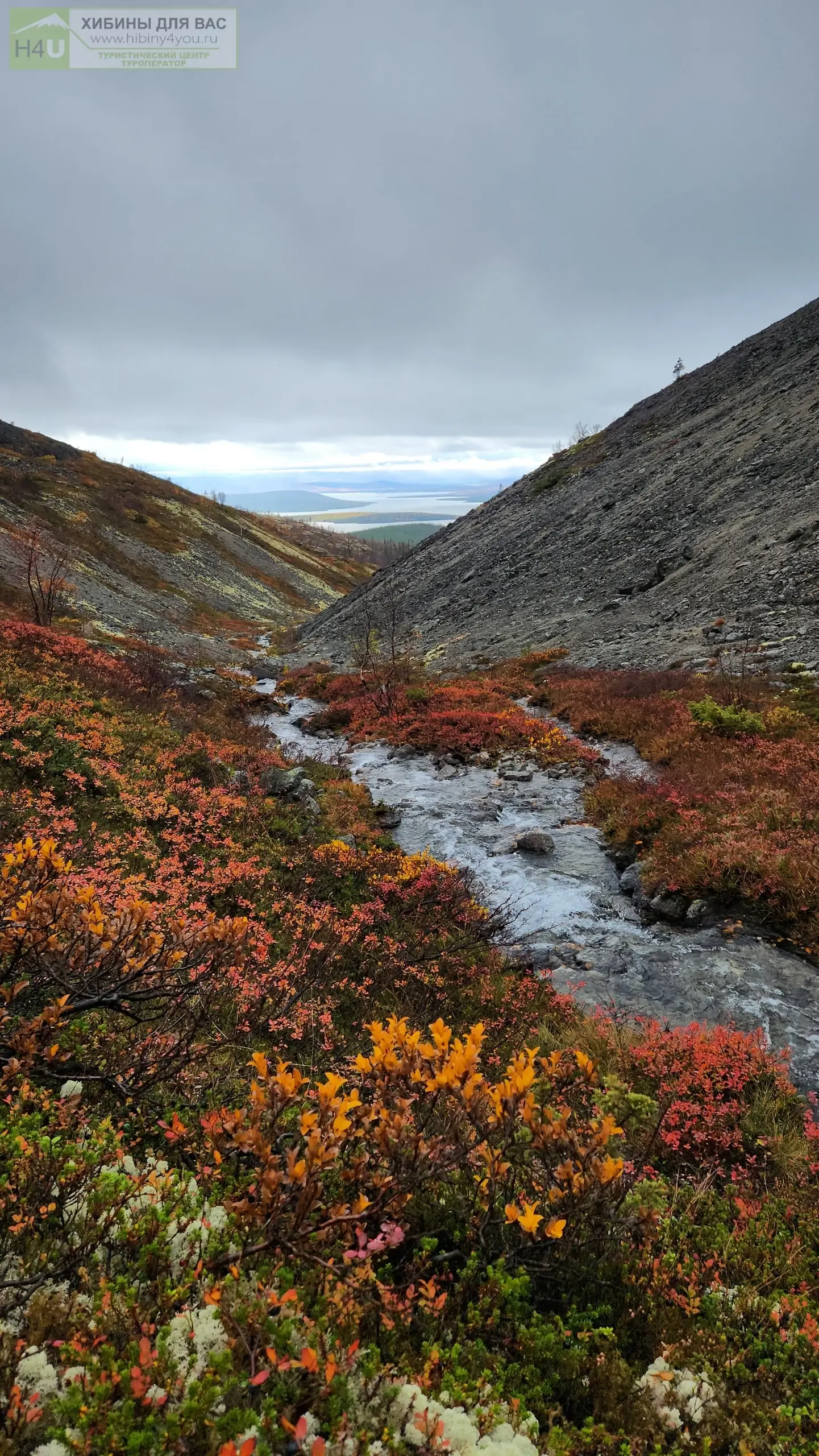 Рекордные ливни оживили сотни новых водопадов рядом с Карелией