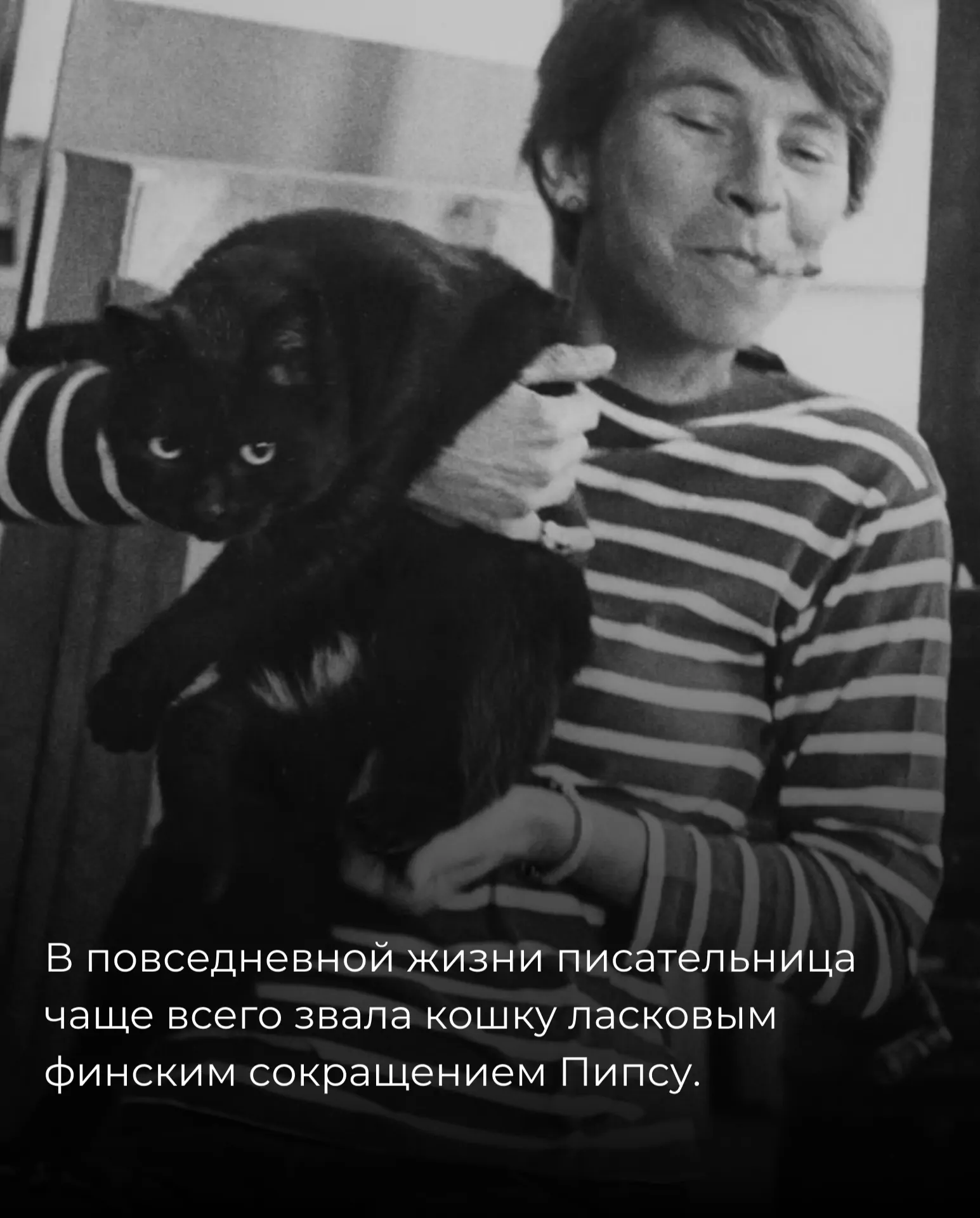 Историю кошки писательницы Туве Янссон рассказали в паблике о Финляндии