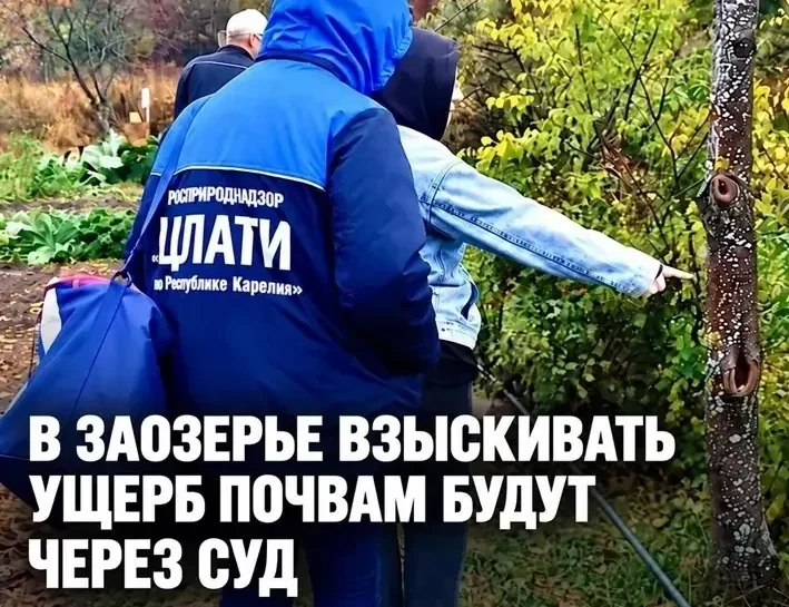 Контрольные органы подтвердили загрязнение почвы сточными водами в Заозерье