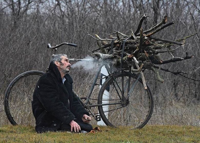 Людям снова разрешили собирать валежник без разрешения
