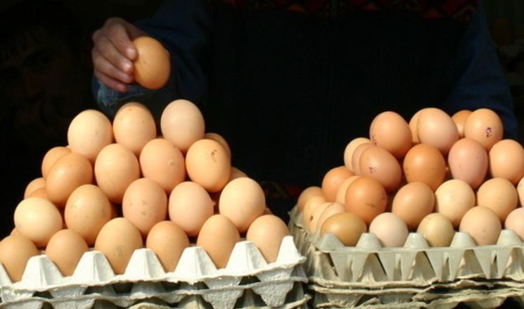 В апреле на границе Карелии и Финляндии отбирали яйца. Говорят, что каждый день