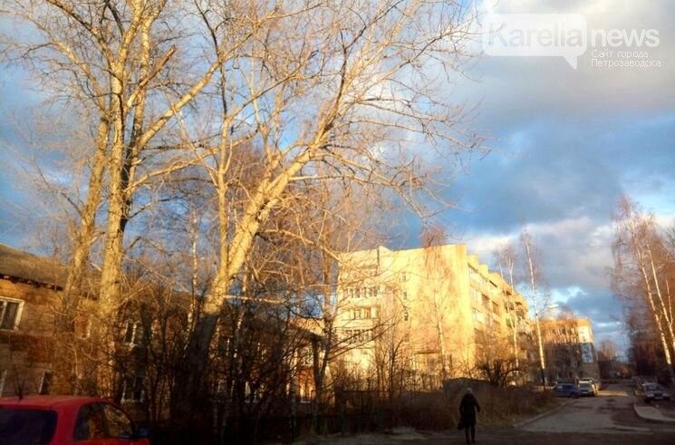 Опять гроза? Карельские синоптики рассказали о погоде на праздники