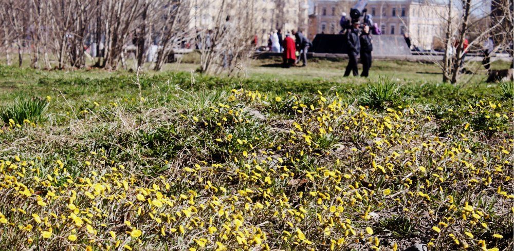 В мая в Петрозаводске может быть установлен новый температурный рекорд