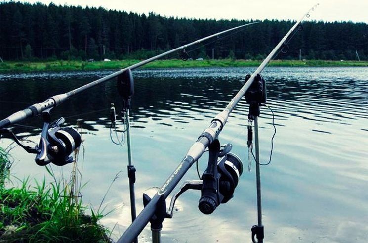 Одна удочка, один крючок. В Ладожском озере пресечен незаконный вылов рыбы