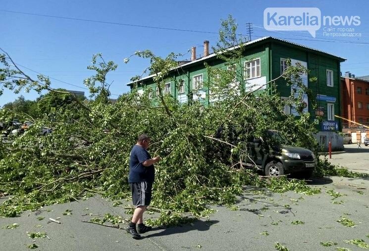 Дерево раздавило две машины и перекрыло центральную улицу Петрозаводска