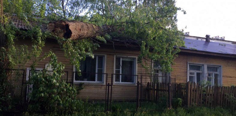 В Петрозаводске на крышу жилого дома упало дерево