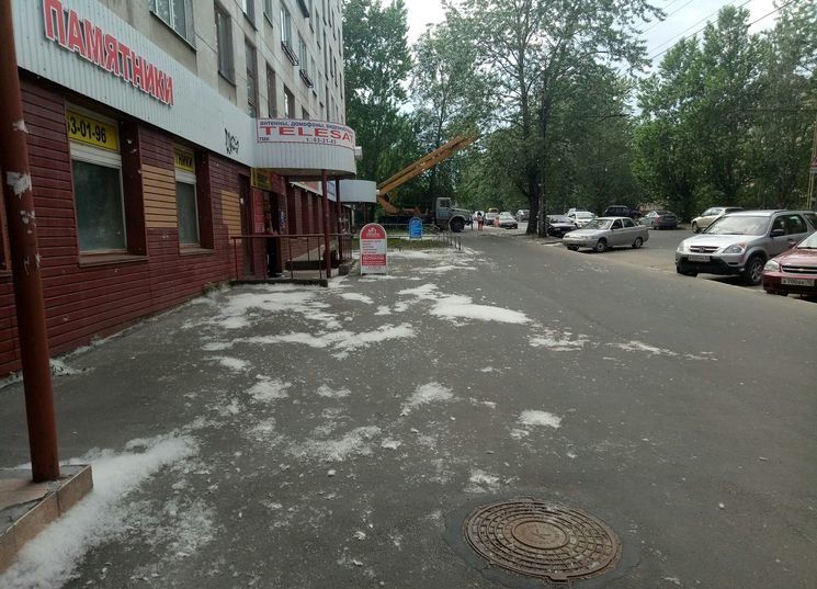 В мэрии предупредили водителей, где завтра будут сносить старые тополя