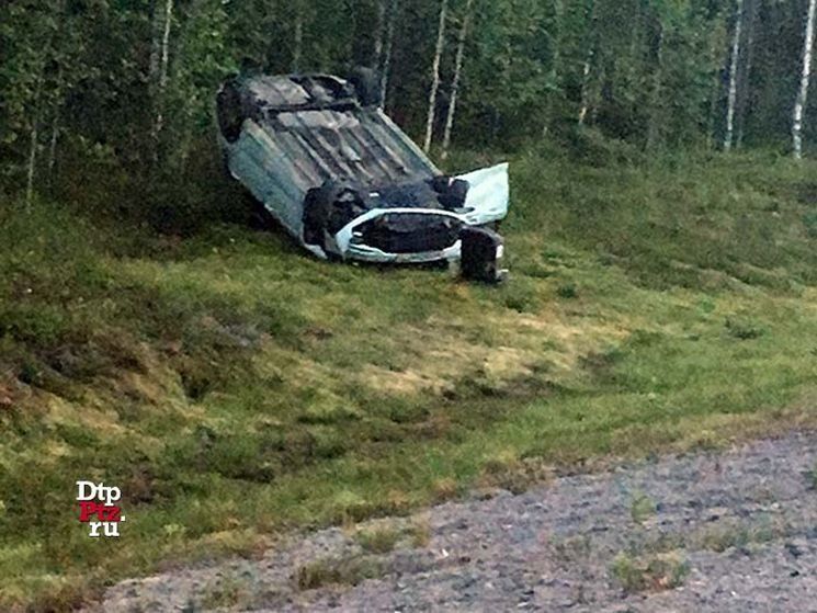 Три человека пострадали в ДТП с лосем в Карелии