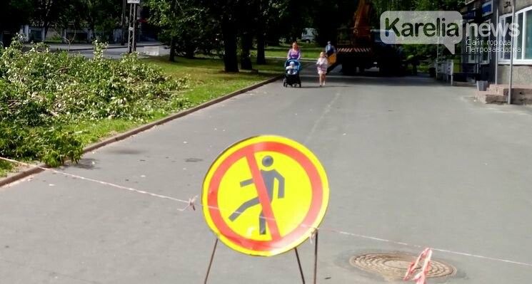 Мама с детьми повела детей под падающими ветками аварийных тополей