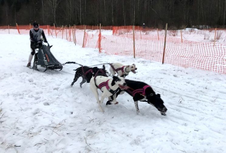 Зашевелились. Гонка «По земле Сампо» все-таки состоится