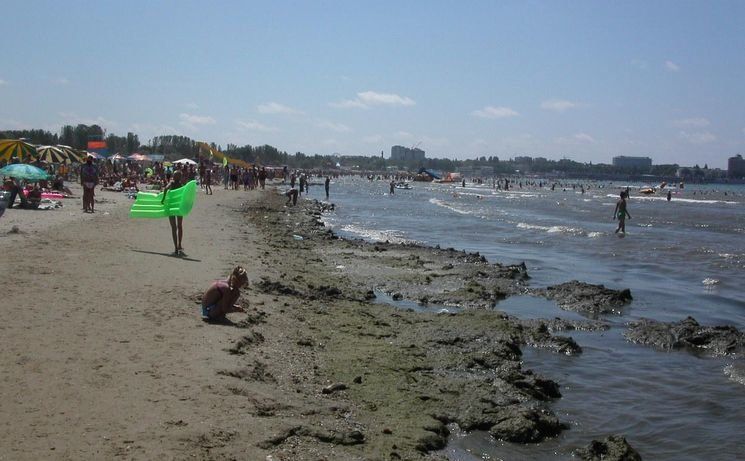 Температура или фекалии? Купание в Черном море на пляжах Анапы и Геленджика запрещено