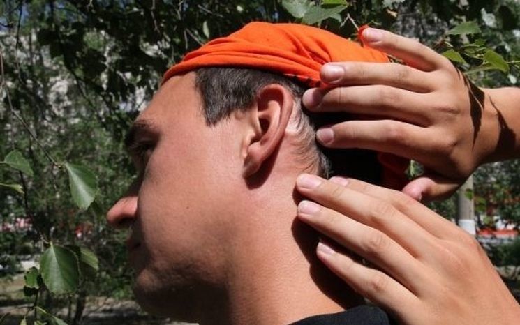 Стало известно, сколько случаев энцефалита и боррелиоза выявлено в Карелии в 2018 году