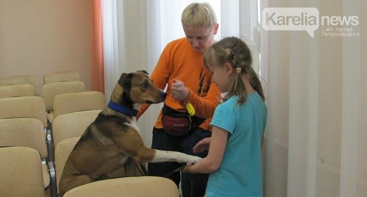 Собака, которую предал хозяин, теперь помогает больным детям