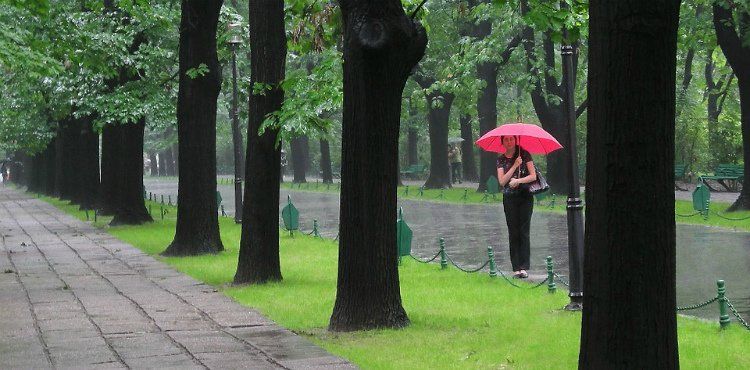Синоптики обещают жителям Карелии теплый, но дождливый август