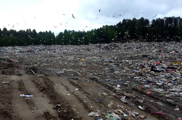 Жители Пряжи выйдут на сход против огромной свалки отходов из Ленобласти