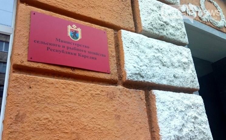 «Ой, ой, ой…». Министерская столовая не работает из-за истории любви